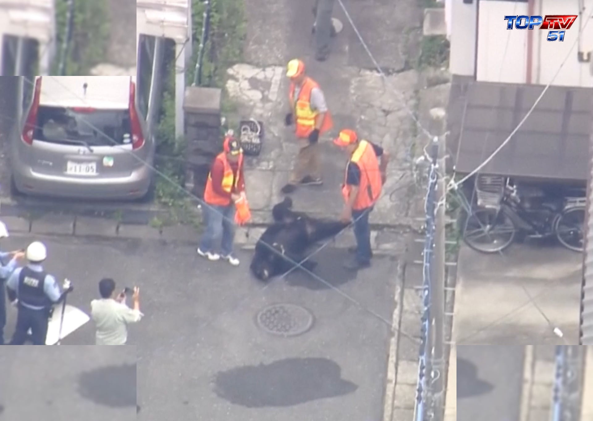 Bear captured after days of panic and school closures in Japan
